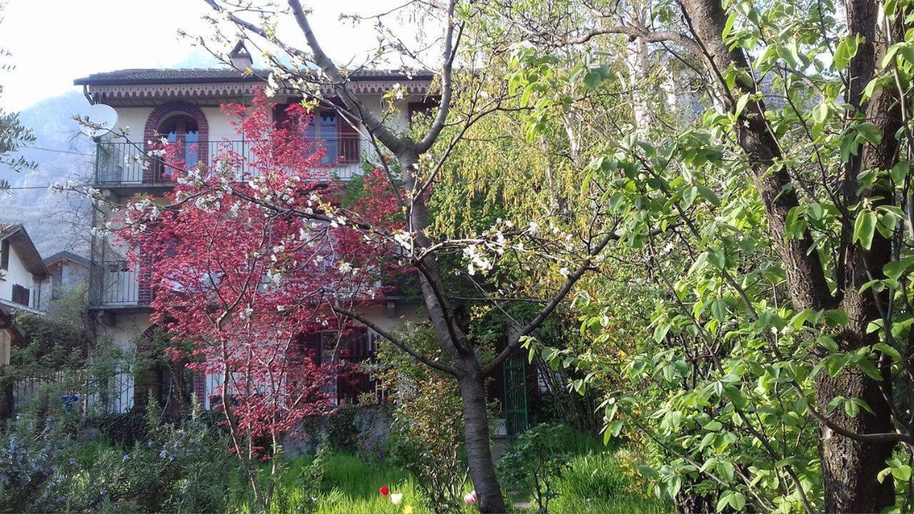 Il Giardino Dei Merli Bussoleno Exteriör bild